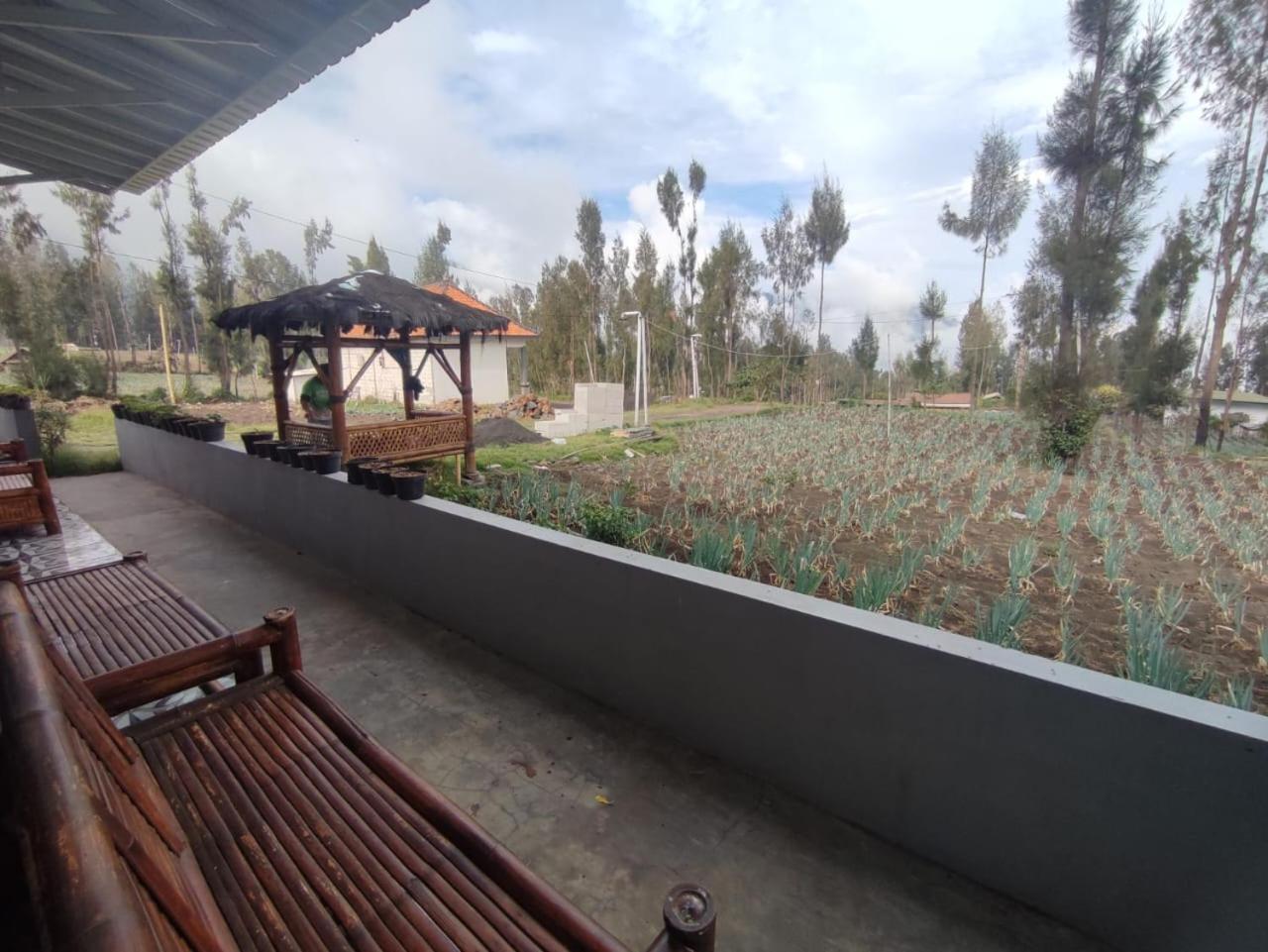 Elen Homestay By Abm Bromo Exterior foto